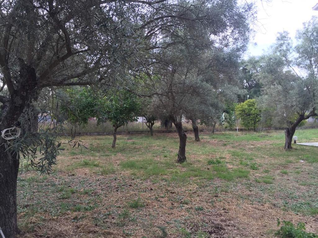 Sapfo Studios Lefkada Town Dış mekan fotoğraf